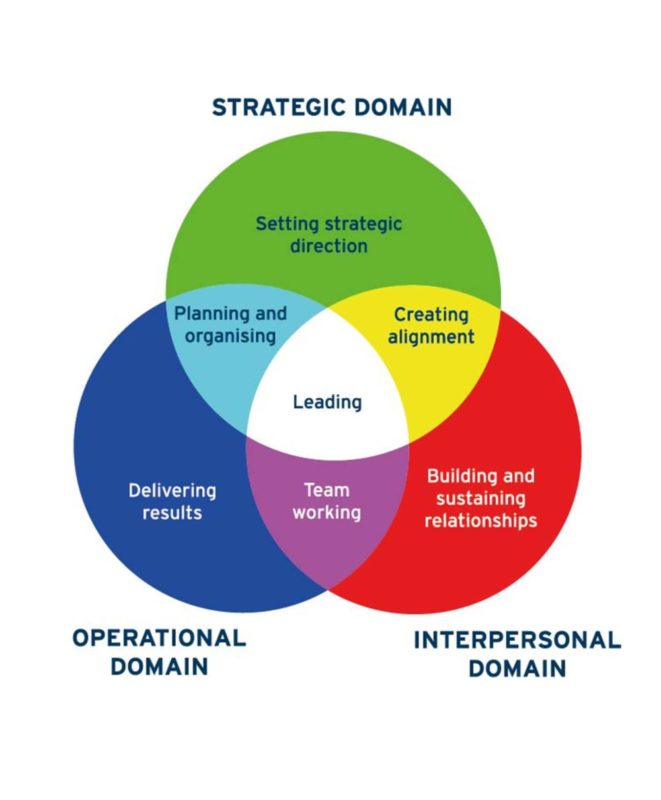 Scheme of strategic domains, operational domain and interpersonal domain