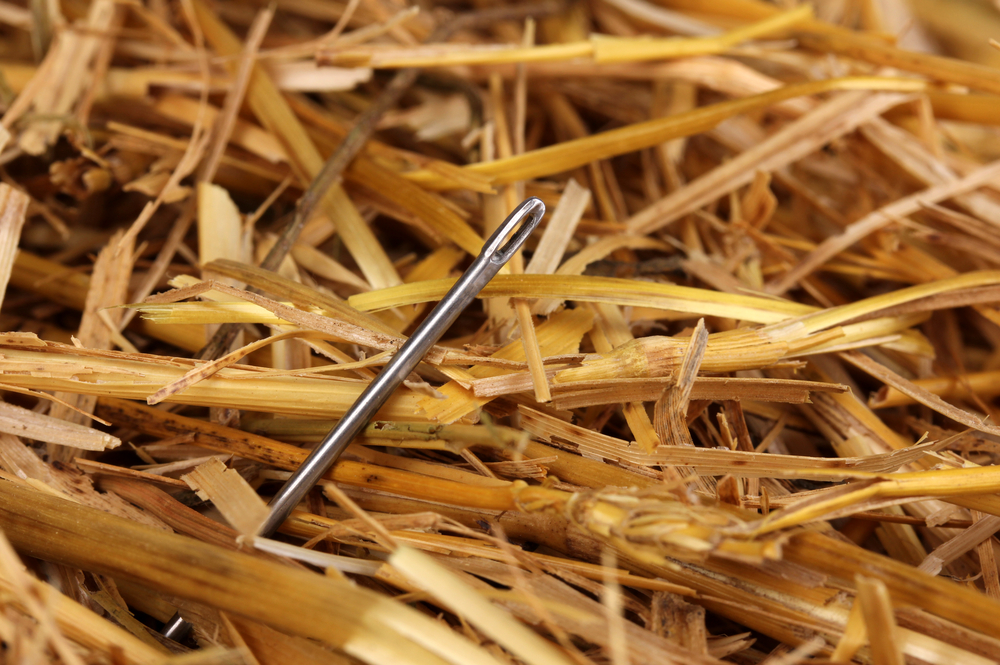 Needle in a haystack